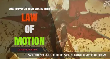 A World Without Newton's Third Law: Chaos or Balance?