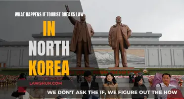 Tourists Behaving Badly: North Korea's Law and Order