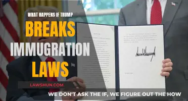 Trump's Immigration Law Violations: What Are the Consequences?