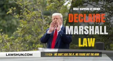 Trump Declares Martial Law: Consequences, Chaos, and Constitutional Crisis