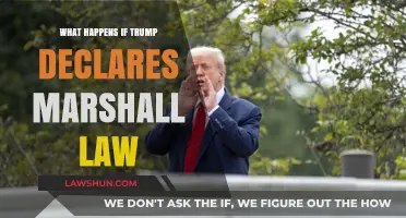 Trump Declares Martial Law: Consequences and Constitutional Crisis Explained