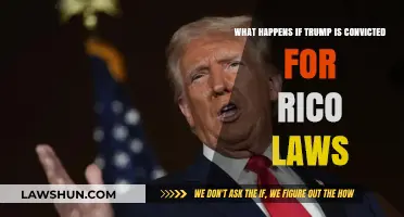Trump's RICO Conviction: Political Fallout and Legal Consequences Explained
