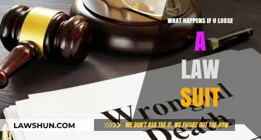 Losing a Lawsuit: Consequences, Financial Impacts, and Next Steps Explained