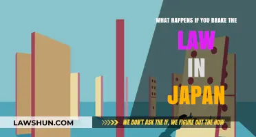 Breaking the Law in Japan: Consequences and Legal Implications Explained