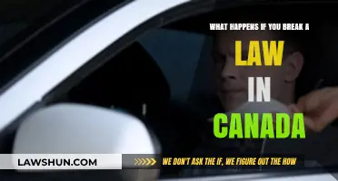 Understanding Canadian Law: Consequences of Breaking Rules