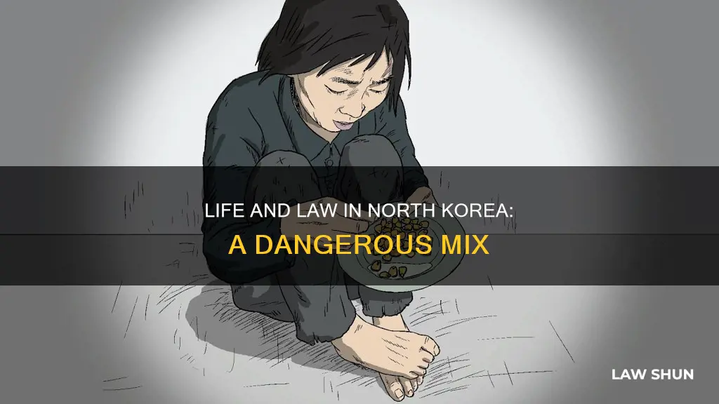 what happens if you break a law in north korea