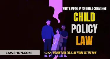 Consequences of Defying China's One Child Policy