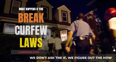 Curfew Laws: Consequences of Breaking the Rules