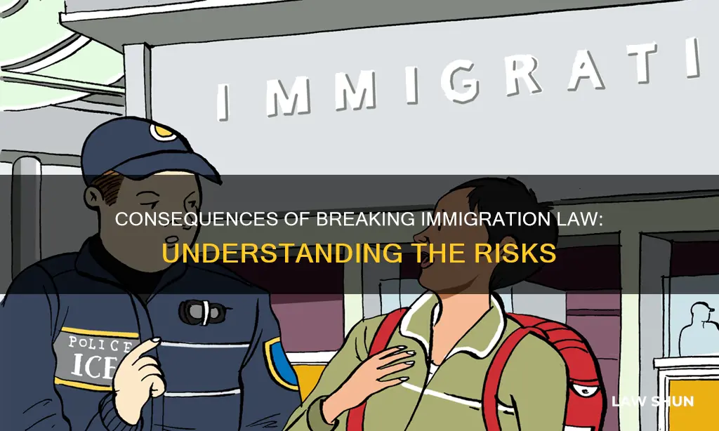 what happens if you break immigration law