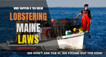 Lobstering Laws in Maine: What Are the Consequences of Breaking Them?