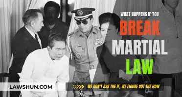 Martial Law Violation: Understanding the Dire Consequences