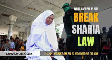 Sharia Law: Understanding the Strict Consequences of Violation