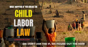 Child Labor Law Violation: Consequences and Ramifications