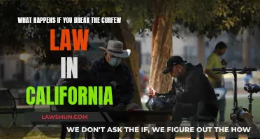 Curfew Law Violation: California's Strict Consequences