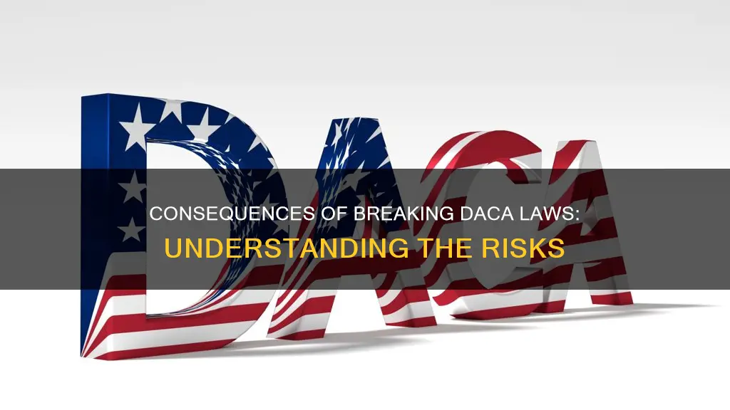 what happens if you break the daca laws