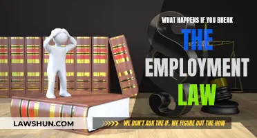 Consequences of Breaking Employment Law: Know Your Rights and Risks