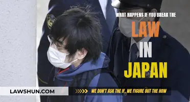 Legal Consequences of Breaking the Law in Japan