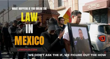 A Lawless Land: Breaking Rules in Mexico