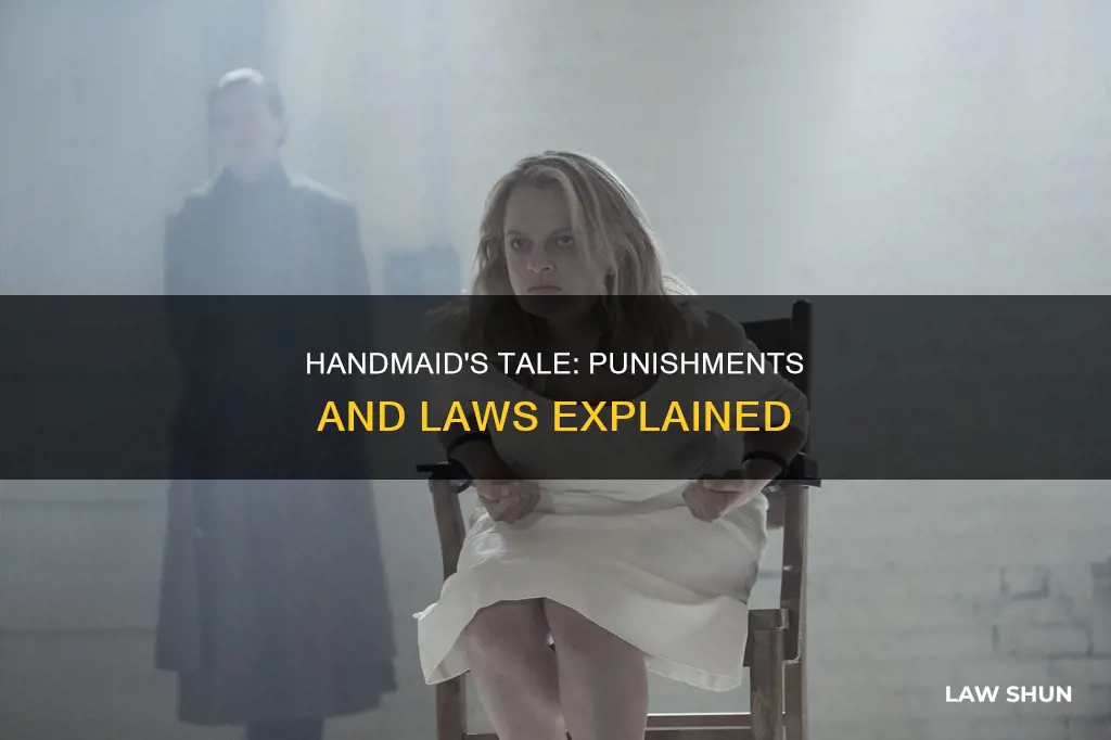 what happens if you break the laws in handmaids tale