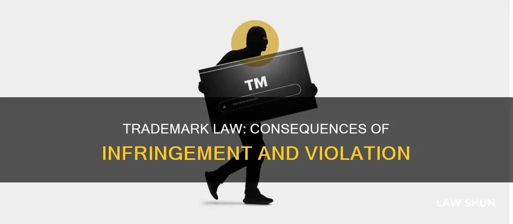 what happens if you break the trademark law