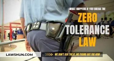 Zero Tolerance Law: Consequences and Ramifications