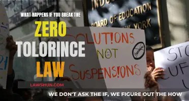 Zero Tolerance Law: Breaking It Has Severe Consequences