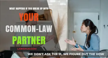 Separating from a Common-Law Partner: What to Expect