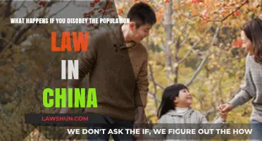 Consequences of Defying China's Population Law: Penalties and Impact Explained
