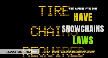 Consequences of Ignoring Snow Chain Laws: Risks and Penalties Explained