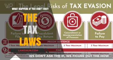 Tax Evasion: Understanding the Risks and Consequences