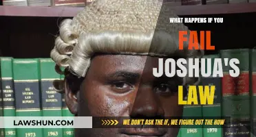 Failing Joshua's Law: Consequences and Impact on Teen Drivers