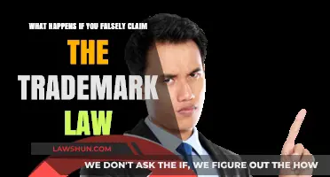 False Trademark Claims: Legal Consequences and Risks Explained