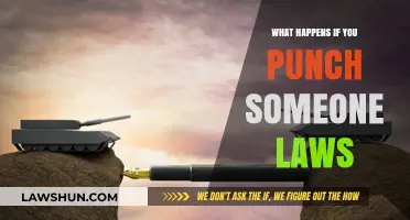 Legal Consequences of Punching Someone: Understanding Assault Laws and Penalties