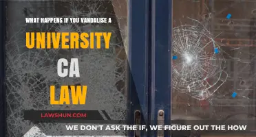 University Law Vandalism: What Are the Consequences?