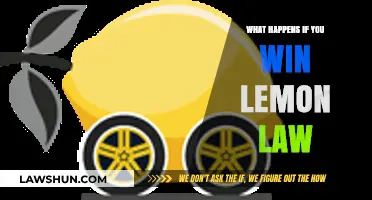 Winning a Lemon Law Case: What Happens Next and What to Expect
