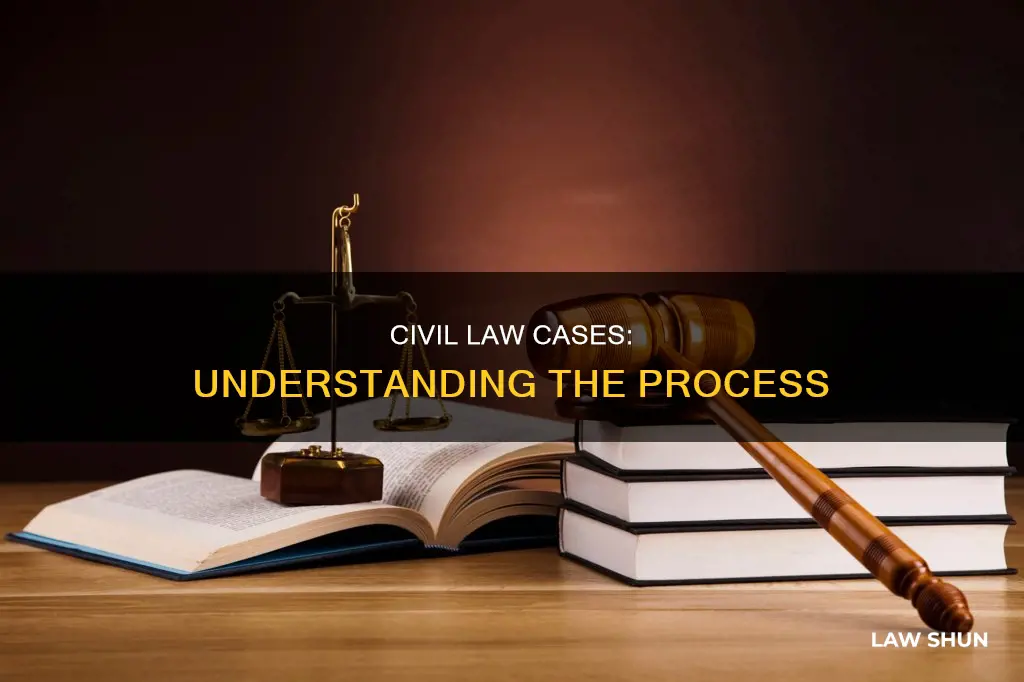 what happens in a civil law case