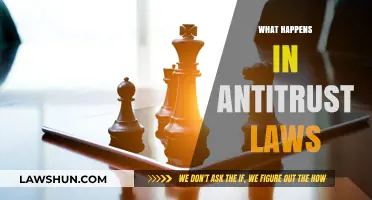 Understanding Antitrust Laws: How They Prevent Market Monopolies and Promote Competition