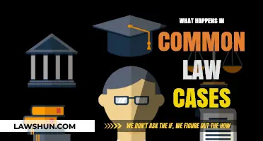 Common Law Cases: Understanding the Process and Outcome