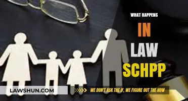 Unveiling Law School: Challenges, Triumphs, and Realities Explored