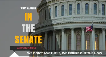 Understanding the Senate: Roles, Procedures, and Key Functions Explained