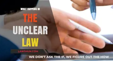 Unclear Laws: Consequences, Confusion, and the Need for Legal Clarity