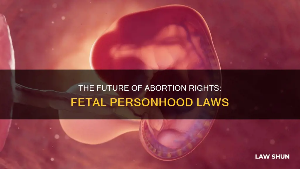 what happens once fetal personhood becomes law