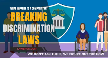 Punishment for Companies Breaking Discrimination Laws