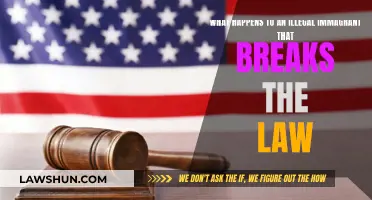 Undocumented Lawbreakers: Their Fates and Legal Consequences