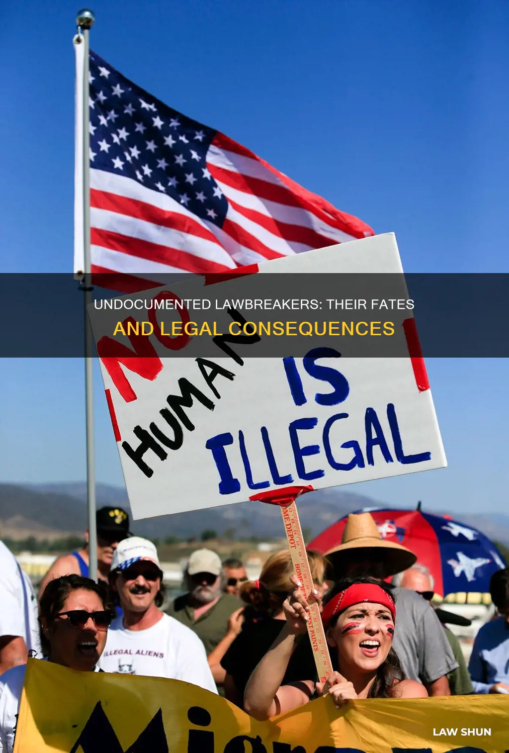 what happens to an illegal immagrant that breaks the law