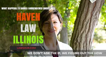 Illinois Safe Haven Law: Outcomes for Surrendered Infants Explained