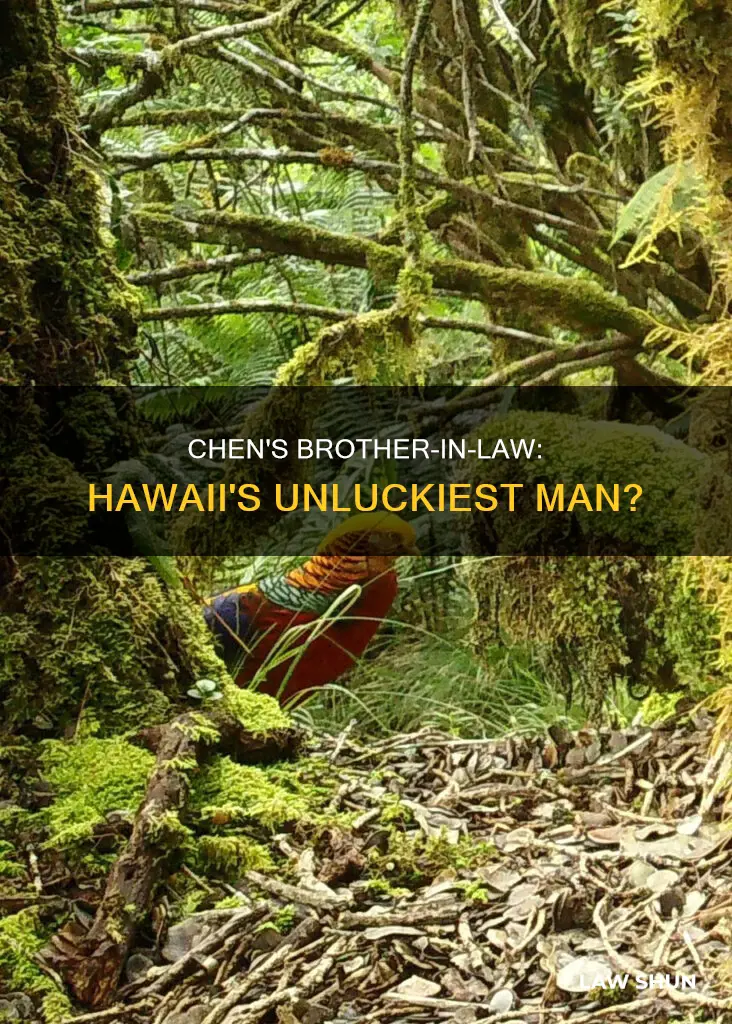 what happens to chens brother in law in hawaii 50