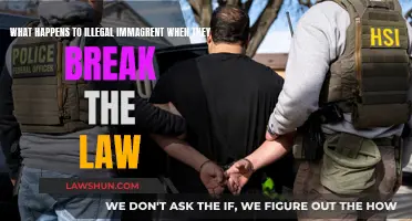 Undocumented Immigrants: Breaking Laws, What's the Punishment?