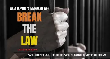 Immigrants Breaking the Law: What Are the Consequences?