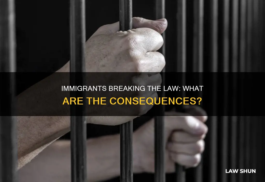 what happens to immigrants who break the law